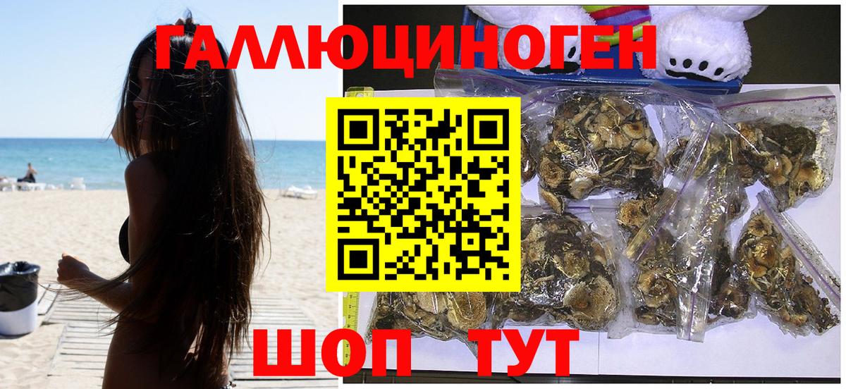 Татарск  Псилоцибиновые грибы мицелий  Вход с VPN 