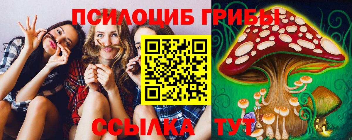 Псилоцибиновые грибы GOLDEN TEACHER Татарск